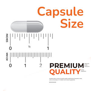 Suplemento de Aminoácidos OEM 750mg GABA (Ácido Gamma-Aminobutírico) 100 Cápsulas Ayuda a Promover la Relajación en Adultos - Product Image 5