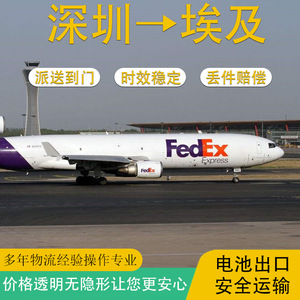 Batería para Scooter Eléctrico Shenzhen Anda Xun, Envío FedEx Express a Egipto, Puerta a Puerta, Línea Logística DDU - Product Image 4