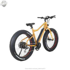 ELYX 2020 nuevo directo fábrica deportivo montaña bicicleta eléctrica Bafang 26 <span class=keywords><strong>biciclet</strong></span> abici eléctrica bicicleta de montaña - Product Image 3