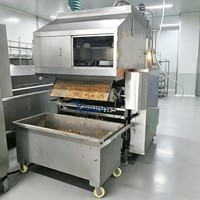 Ligne de production de chips de pommes de terre fraîchement coupées avec chauffage externe au gaz et filtration des impuretés pour la transformation des aliments surgelés