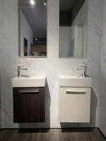Meuble de salle de bain d'appartement de luxe, petit évier de salle de bain, vanité et miroir, armoire en bois