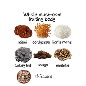 7 In 1สารสกัดจากเห็ด Superfood ผสมผง-สิงโตแผงคอ,Reishi, Cordyceps, Chaga,ตุรกีหาง,Maitake,เห็ดหอม - Product Image 2
