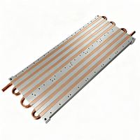 Plaque de refroidissement liquide personnalisée 170*400*13mm avec tubes en cuivre intégrés pour la gestion thermique