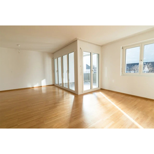 Zhan Chen-pintura de madera <span class=keywords><strong>en</strong></span> <span class=keywords><strong>aerosol</strong></span> mate, barniz de parqueta de madera de poliuretano sin olor - Product Image 6