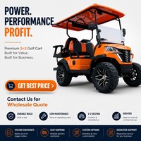Voiturette de golf à essence 300cc 4 places 4 temps avec pneus tout-terrain - Buggy de golf à essence haute puissance 13KW pour complexe hôtelier et ferme