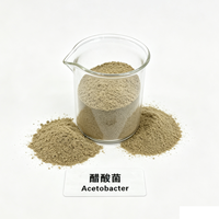 Poudre de culture microbienne Acetobacter 10 milliards UFC/g, bactéries acides acétyliques dédiées à la fermentation acétique du vinaigre industriel