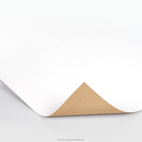 Papier Kraft de Haute Qualité pour Doublure de Test, Couleur Blanche, 110-300 g/m², Papier Kraft Biodégradable pour Doublure