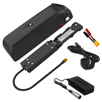 Batterie de vélo électrique Li-ion Hailong 36V 48V 52V 13Ah 15Ah 20Ah pour vélo électrique 500W 750W 1000W Bafang