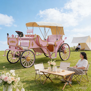 Chariot à chevaux de grande capacité pour 6 personnes, véhicule de tourisme stable pour les excursions en groupe dans les zones panoramiques - Product Image 1