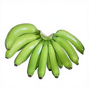 Plátanos Cavendish Dulces de Sabor 100% Natural, Frescos, de Vietnam, Empresa 3Timex, Envío Rápido, Venta al por Mayor, Tamaños 4H-5H-6H, 40 Unidades - Product Image 1