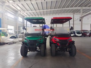 Carrito de Golf Eléctrico Económico con Asientos de Lujo, Envío Directo desde Tailandia para Uso Personal - Product Image 5