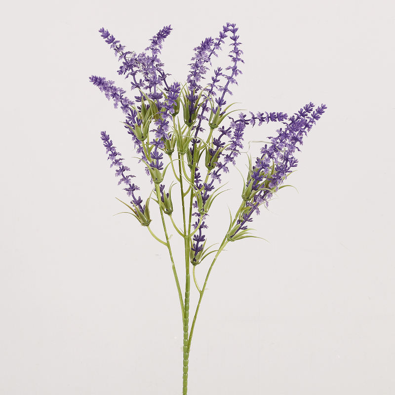 สีม่วงอ่อน