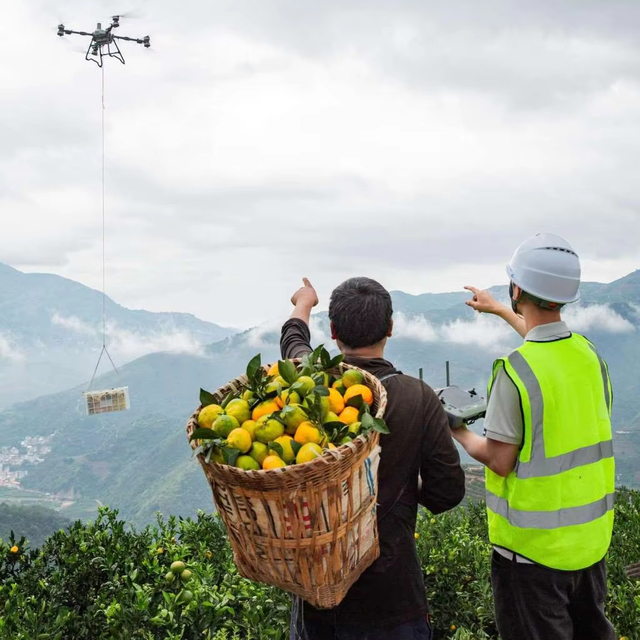 2026 NEW Agras T100 Professional Drone with Gps RTK and HD Camera Fertilizer Granular Payload Spraying Commercial UAV