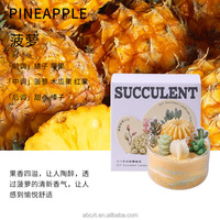 Lilin aromaterapi buatan tangan beraroma timbul tanaman dalam ruangan lukisan pasir kaktus untuk Hari Valentine Pernikahan hadiah DIY untuk