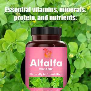 Suplemento de Minerales de Alta Calidad, Cápsulas Orgánicas de Alfalfa, Mejoran el Sistema Inmunológico, Cápsulas de Suplemento Herbal - Product Image 6