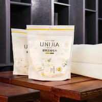 Toalla Comprimida en Formato Moneda, Artículos de Baño Desechables, Envueltos Individualmente, Portátiles para Viaje, Toalla Facial Comprimida Biodegradable OEM