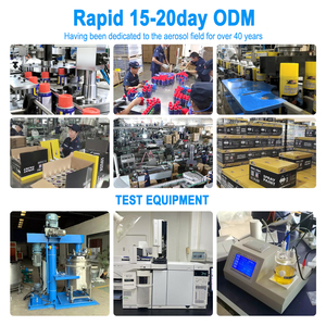 <span class=keywords><strong>Nettoyant</strong></span> freins multi-usages personnalisable en aérosol 2026, durée de conservation 3 ans - Product Image 5