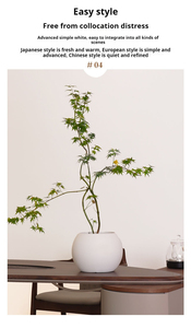 Jardinière en argile de magnésium Navire de sol sphérique innovant pour les magasins de décoration de maison de luxe Grande pièce maîtresse d'affichage <span class=keywords><strong>botanique</strong></span> - Product Image 5