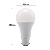Ampoule LED E27 basse tension A60 12V-60V B22 pour éclairage de camping-car, batterie solaire, système d'alimentation industriel large plage 48V 60VDC