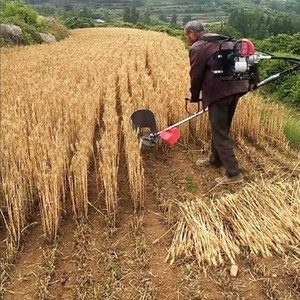 DIY Factory Supplier Customized in Stock Walk Behind Gas/Petrol Brush Cutter Backpack Grass Trimmer Cutting Machine 4-Stroke - Product Image 6