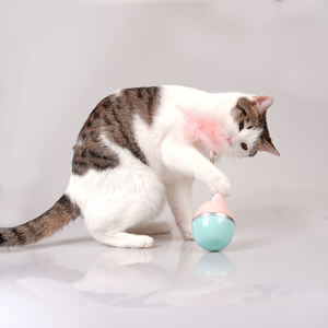 Manufacturer Wholesale pink Cat Feather Toys <b>Tumbler</b> Shape - Product Image 2