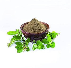 ผงใบตุลซีคุณภาพสูง Ocimum Sanctum ผงใบแห้ง วัตถุดิบจากพืชธรรมชาติ ขายส่งจำนวนมาก - Product Image 1