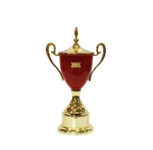 Trofeo chapado en oro rojo verde, premios, actividades de recuerdo, competición deportiva, premios de campeón, trofeo de Metal con orejas grandes dobles - Product Image 2