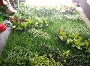 الغابة نمط مخصص العمودي النباتات جدار الاصطناعي نبات معلق علي الحائط الأخضر العشب جدار للمنزل الديكور - Product Image 5