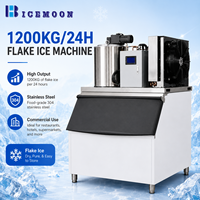 Machine à glace pour la transformation des aliments et des boissons, production de glace en flocons avec refroidissement à contact large et support pour pièces de rechange