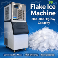 Machine à glace en flocons commerciale Flaker, machine à glace en flocons industrielle, machine à fabriquer de la glace en flocons, 800 kg