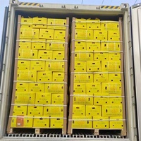 Anqiu Origin Gingembre séché à l'air frais