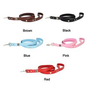 Accessoires créatifs pour animaux de compagnie : laisse en cuir personnalisée avec décoration tête de mort pour chat et chien - Product Image 1