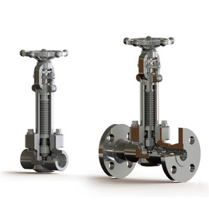 Forged Long Bellow Flanged ANSI150 ANSI 300 PN16 PN25 JIS10K JIS20K Weld Butt Weld Bellow Sealed Gate Valve Globe Valve - Product Image 4