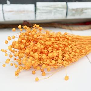 Flores decorativas de fábrica, suministro de floristería, 50g/manojo de frijol de Acacia, semillas de lino secas preservadas, ramo de frutas Jequirity, manojo de Linum - Product Image 5