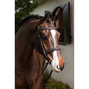 Brida de Caza LeMieux Cosida, Pre-Engrasada, Cuero Americano, Ajuste Regular, Equipo de Equitación - Product Image 4