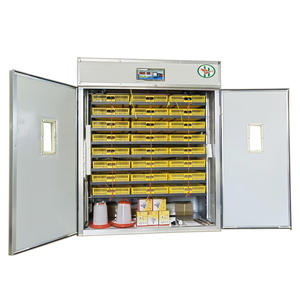 Incubateur et éclosoir automatique professionnel pour œufs de poule et d'autruche, modèle 2112, haute productivité, garantie 3 ans - Product Image 3