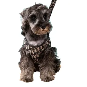 New Pet Dog Harness and Leash Set Dog Traction Rope Plaid Chest Strap Small and Medium-sized Dog Chain Chihuahua accessories