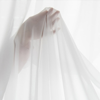 Cortinas Personalizadas al por Mayor de Color Sólido Semicransparentes de Gasa Adecuadas para Sala de Estar, Dormitorio y Balcón