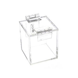Chastity key holder keyholder THE CHASTITY KEY SAFE Chastity Game with Acrylic sexy box sexy toy 2019
