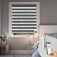 Allbright Powered by Eve Motionblinds Tende a Rullo Smart Zebra Oscuranti Senza Fili Compatibili con Matter e Thread per Finestre Domestiche