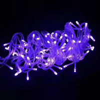 Guirlandes lumineuses de Noël à DEL pour intérieur/extérieur personnalisées IP44 Pixel Éclairage de fête en chaîne par OEM Factory Outlet