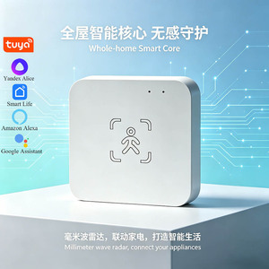 Zigbee WiFi Millimeter Wave Radar Human Presence Sensor With Light Sensor 2 In 1 Smart Home Automation Linkage - Product Image 3