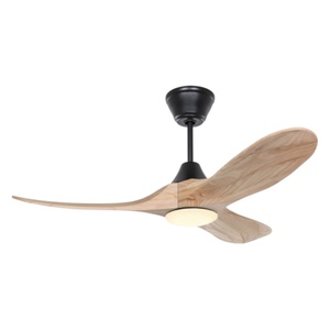 48-inch LED Ceiling Fan, 220V, Ventilation Technology, Customizable LED <b>Wireless</b> Ceiling Fan with Light - Product Image 1
