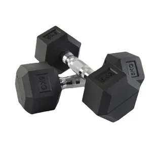 OEM Wholesale Custom Professional Dumbbell Home Gym Weights Fitness Dumbbells
