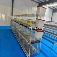 Cage à poulets de chair galvanisée épaissie, équipement d'élevage de poussins, cage à poussins à 4 niveaux à vendre