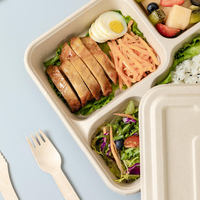 Assiette jetable classique compartimentée en bagasse compostable à base de plantes pour la maison, le bureau et la rentrée scolaire