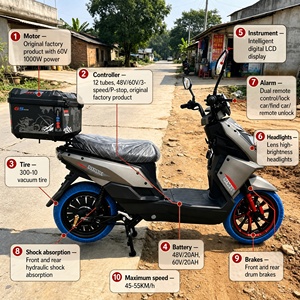 MTBGO OEM/ODM Scooter Eléctrico Todoterreno de Alta Resistencia, Motocicleta con Motor sin Escobillas de 60V1000W y Doble Suspensión para Distribuidores y Propietarios de Marcas - Product Image 2