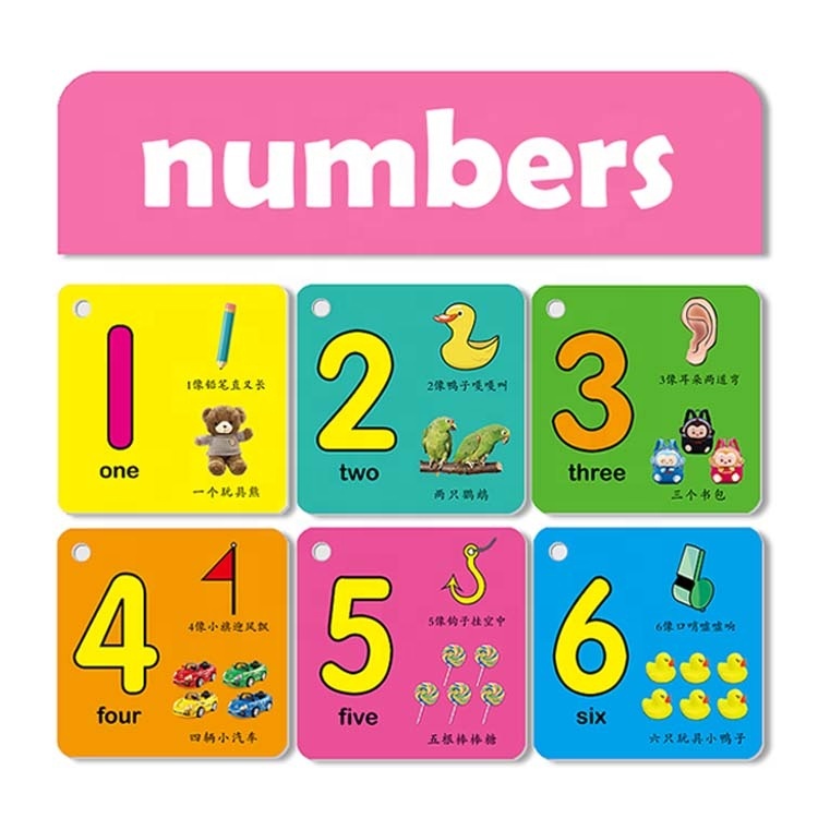 Wholesale Custom Cognitive English Learning Flashcards