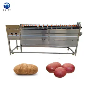 Continuous Carrot Ginger Konjac Porang Taro Peeling Machine Potato Washing Machine