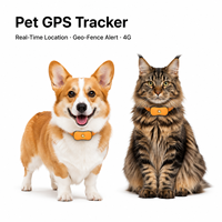 Localizador GPS Portátil para Perros, Compatible con iOS, Antipérdida, con Alarma y Alcance Ilimitado